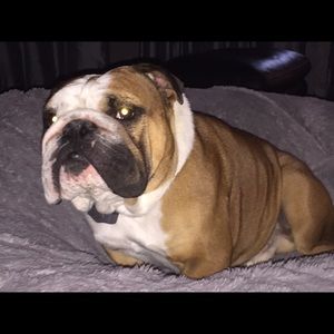 Meet your Posher, Cathy